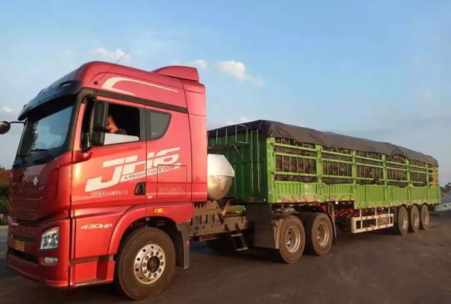 種南瓜竟然種出“麻煩”了，瓜販搶購(gòu)，電視臺(tái)記者也趕來了