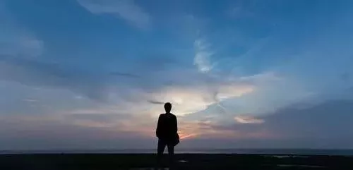 雇工難、成本高，想種甜瓜怎么辦？