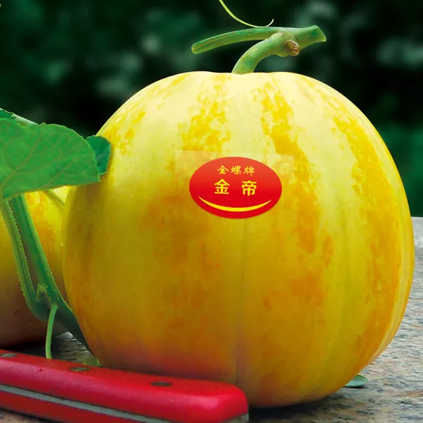 薄皮甜瓜，哪個(gè)品種最好呢？畝產(chǎn)高達(dá)10萬(wàn)，附4種市場(chǎng)爆款品種