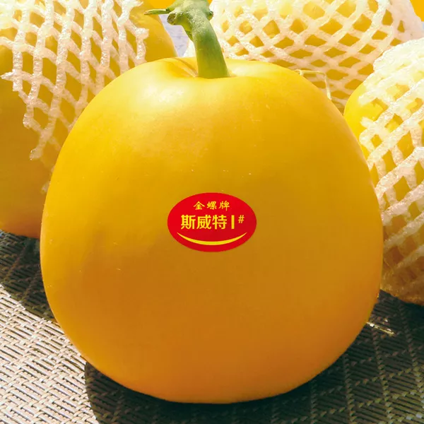 薄皮甜瓜，哪個(gè)品種最好呢？畝產(chǎn)高達(dá)10萬(wàn)，附4種市場(chǎng)爆款品種