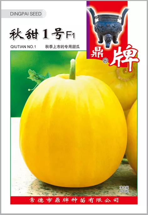 高溫季節(jié)種植甜瓜，什么品種最好？這個品種是秋季上市的專用品種