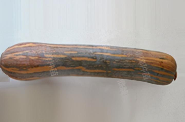 2020年，市面上的南瓜品種哪個口感最好、最甜、最值得種植？