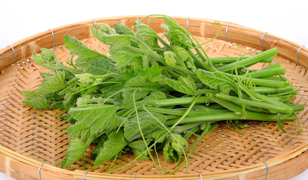 種這種綠葉菜，栽培輕松，畝產(chǎn)值過萬元，菜農(nóng)表示很劃算