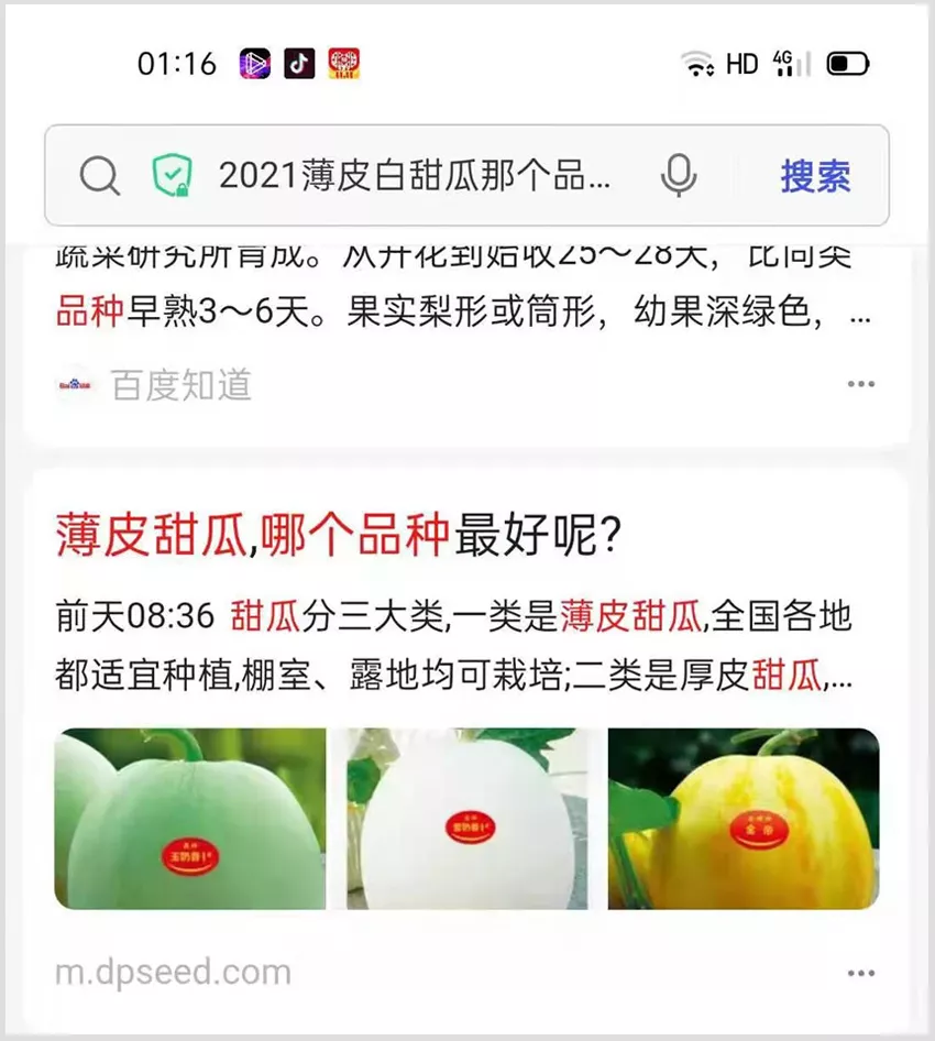 河南焦作的李向林今年種植甜瓜新品種，客戶直接拉貨走人