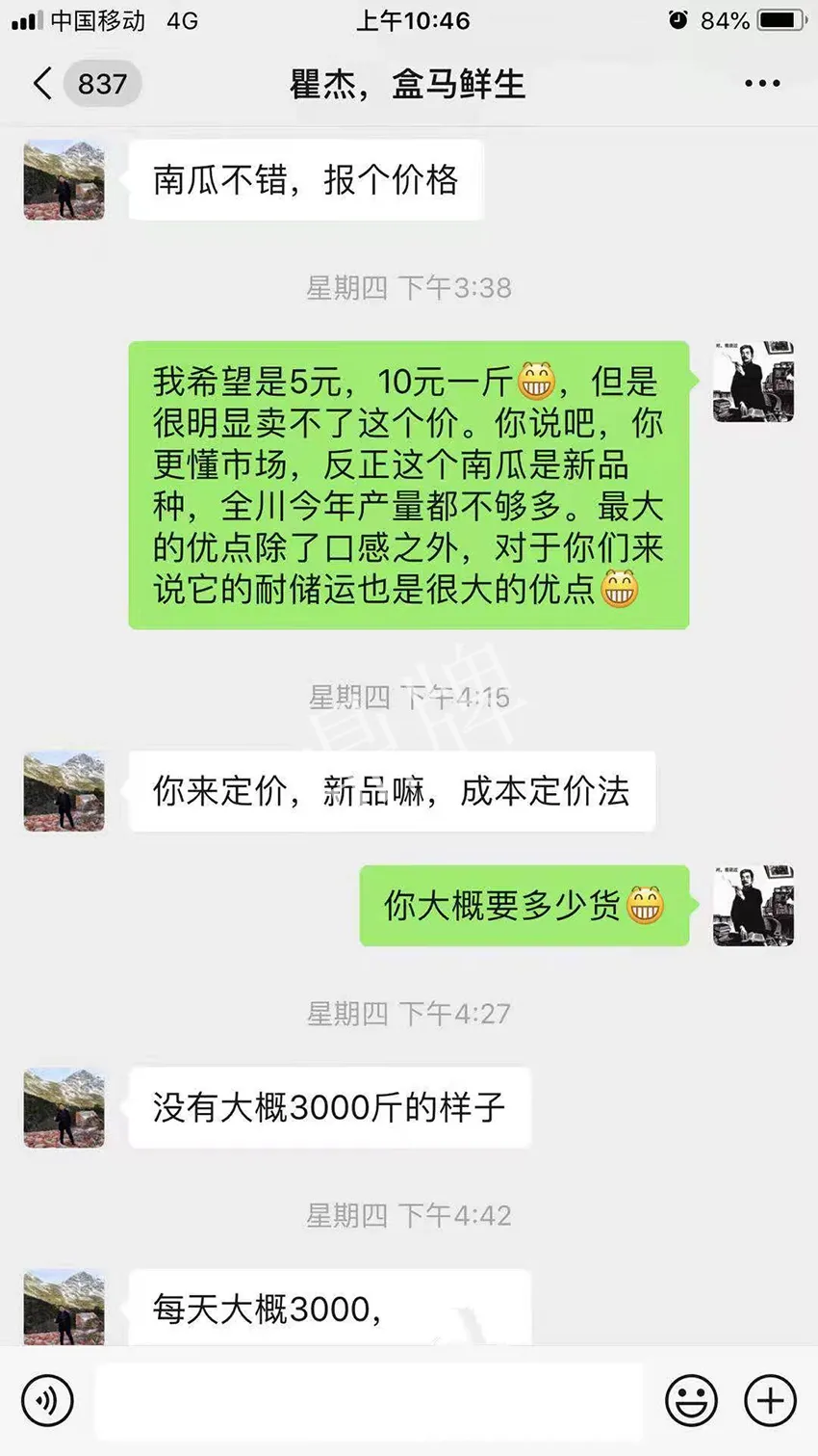 四川農(nóng)戶今年種“健美蜜本”南瓜產(chǎn)量高，品質(zhì)好，感覺巴適得很