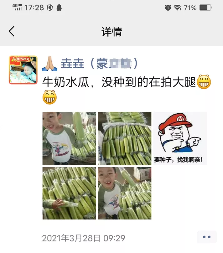 這個絲瓜每畝能掙3萬，沒種植的農戶后悔得拍大腿