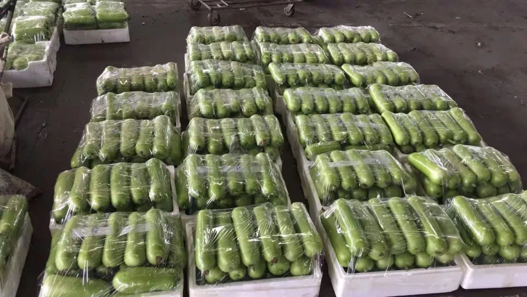 這個(gè)品種上市早，價(jià)格好！我連續(xù)種了三年，滿意